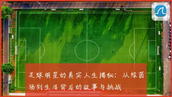足球明星的真实人生揭秘：从绿茵场到生活背后的故事与挑战
