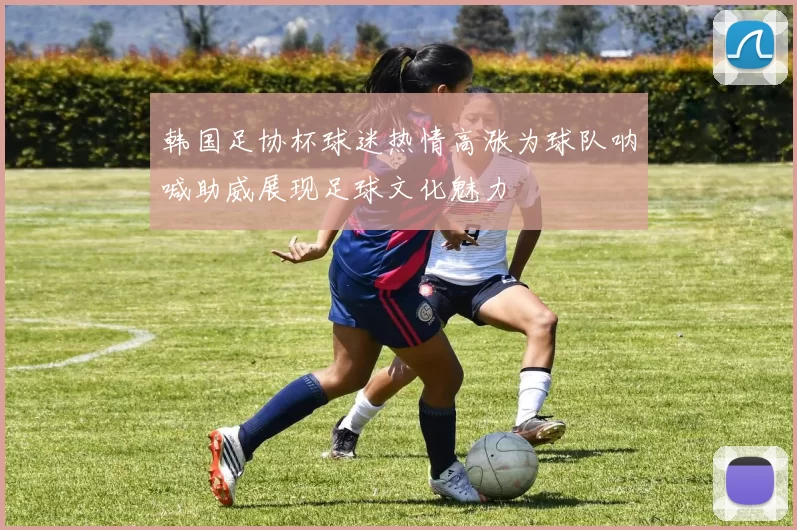 韩国足协杯球迷热情高涨为球队呐喊助威展现足球文化魅力